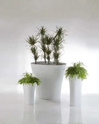 Vondom Bones Planter vase in polyethylene