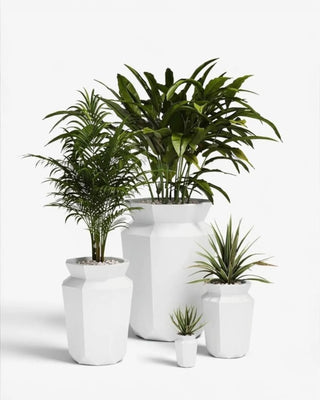Vondom Origami Hasu planter in polyethylene