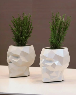 Vondom Skull planter in polyethylene