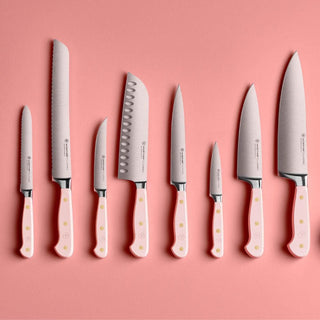 Wusthof Classic Color 4-piece steak knife set 12 cm. - Buy now on ShopDecor - Discover the best products by WÜSTHOF design