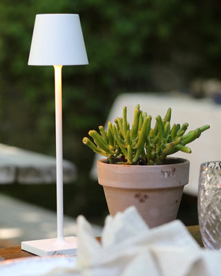 Zafferano Lampes à Porter Poldina micro table lamp - Buy now on ShopDecor - Discover the best products by ZAFFERANO LAMPES À PORTER design