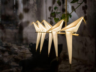 Moooi Perch Light Branch dimmable LED suspension lamp - Buy now on ShopDecor - Discover the best products by MOOOI design